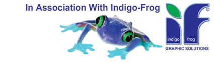 Indigo-Frog